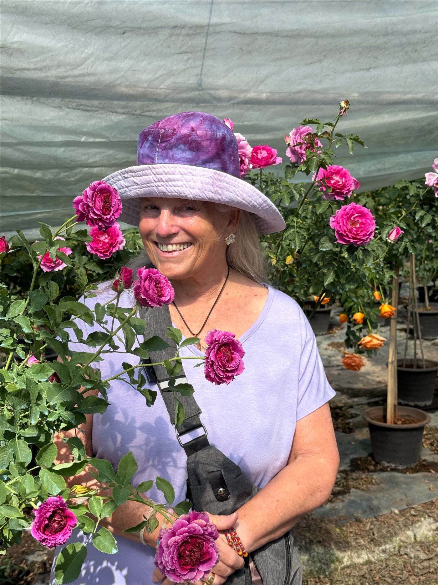 Catherine Whittall smiling among magenta roses in her rose nursery